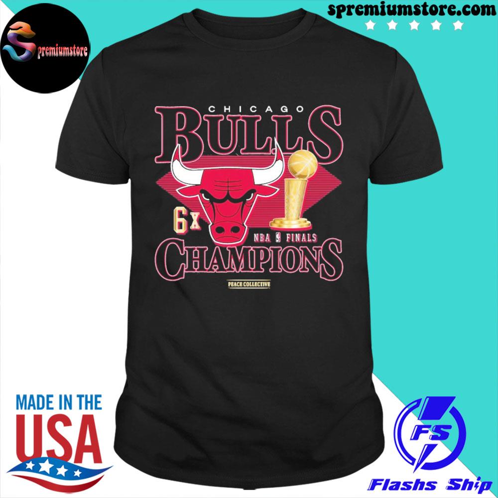 Official chicago Bulls Vintage champions shirt